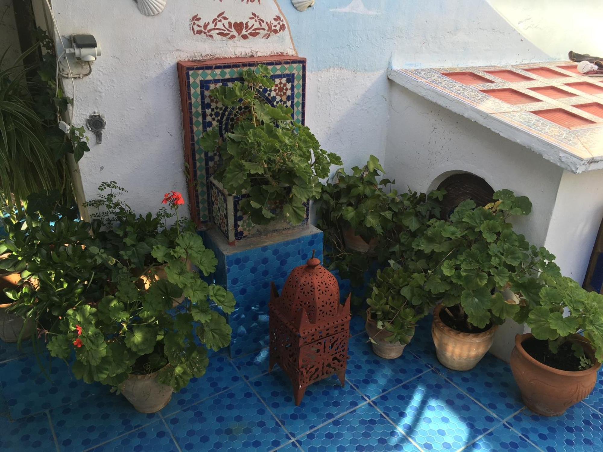 Hathor ,Casa Marroqui Con Dos Terrazas En La Medina Antigua , Ideal Parejas!! Wifi!! 艾西拉 外观 照片
